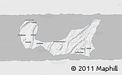 Gray Panoramic Map of Ba Xian, single color outside