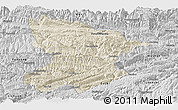 Shaded Relief Panoramic Map of Fengjie, desaturated