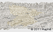 Shaded Relief Panoramic Map of Fengjie, semi-desaturated