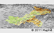 Physical Panoramic Map of Chongqing, desaturated