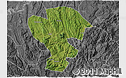 Satellite 3D Map of Qijiang, desaturated