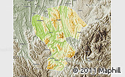 Physical Map of Qijiang, semi-desaturated