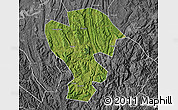 Satellite Map of Qijiang, desaturated