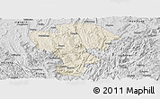 Shaded Relief Panoramic Map of Qijiang, desaturated