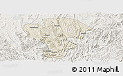 Shaded Relief Panoramic Map of Qijiang, lighten