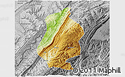 Physical 3D Map of Shizhu, desaturated