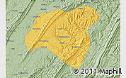 Savanna Style Map of Zhong Xian