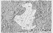 Gray 3D Map of Datian