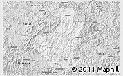 Silver Style 3D Map of Datian