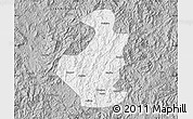 Gray Map of Datian