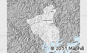 Gray Map of Fuan