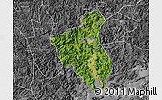 Satellite Map of Fuan, desaturated