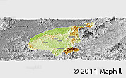 Physical Panoramic Map of Jianning, desaturated
