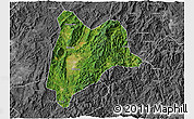 Satellite 3D Map of Liancheng, desaturated