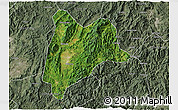 Satellite 3D Map of Liancheng, semi-desaturated