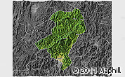 Satellite 3D Map of Longyan Shi, desaturated