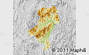 Physical Map of Longyan Shi, lighten, desaturated