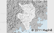 Gray 3D Map of Nanan