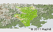 Physical Panoramic Map of Nanan, semi-desaturated