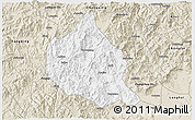 Classic Style 3D Map of Nanjing