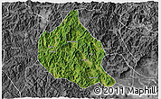 Satellite 3D Map of Nanjing, desaturated