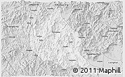 Silver Style 3D Map of Nanjing