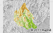 Physical Map of Nanjing, lighten, desaturated