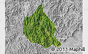Satellite Map of Nanjing, lighten, desaturated