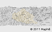 Shaded Relief Panoramic Map of Nanjing, desaturated