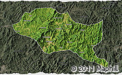Satellite 3D Map of Nanping Shi, darken, semi-desaturated