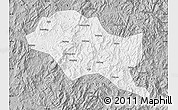 Gray Map of Nanping Shi