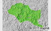 Political Map of Nanping Shi, lighten, desaturated
