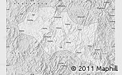 Silver Style Map of Nanping Shi