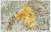 Physical 3D Map of Pingnan, semi-desaturated