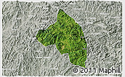 Satellite 3D Map of Pingnan, lighten, semi-desaturated