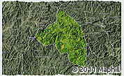 Satellite 3D Map of Pingnan, semi-desaturated