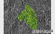 Satellite Map of Pingnan, desaturated