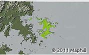 Physical 3D Map of Pingtan, darken, semi-desaturated