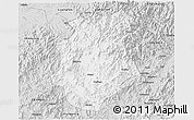 Silver Style 3D Map of Pucheng