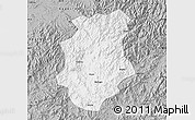 Gray Map of Pucheng