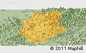 Savanna Style Panoramic Map of Pucheng