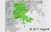 Political 3D Map of Putian, lighten, desaturated