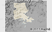 Shaded Relief 3D Map of Putian, darken, desaturated