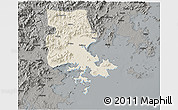 Shaded Relief 3D Map of Putian, darken, semi-desaturated