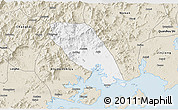 Classic Style 3D Map of Tongan