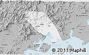 Gray 3D Map of Tongan