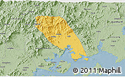 Savanna Style 3D Map of Tongan
