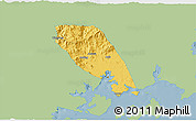 Savanna Style 3D Map of Tongan, single color outside