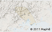 Shaded Relief 3D Map of Tongan, lighten