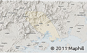Shaded Relief 3D Map of Tongan, semi-desaturated